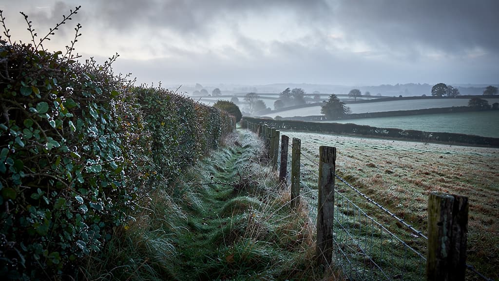 Boundary Surveys & Expert Advice